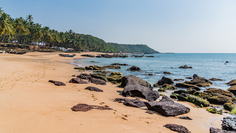 India 2014 - Goa 064.jpg
